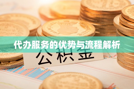 金湾代办服务的优势与流程解析