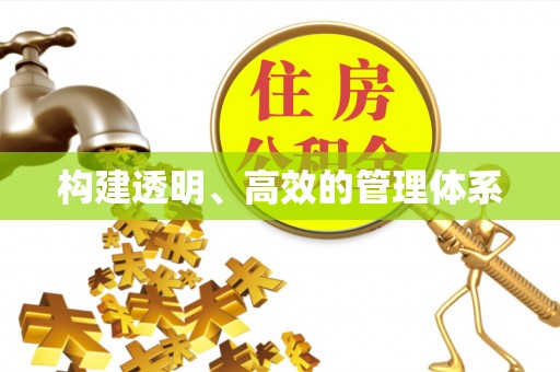 金湾构建透明、高效的管理体系