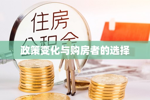 金湾政策变化与购房者的选择