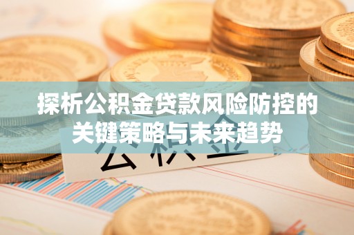 金湾探析公积金贷款风险防控的关键策略与未来趋势
