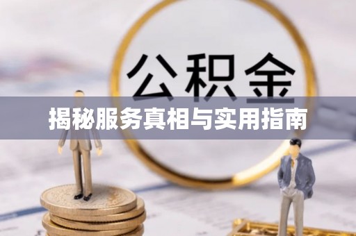 金湾揭秘服务真相与实用指南