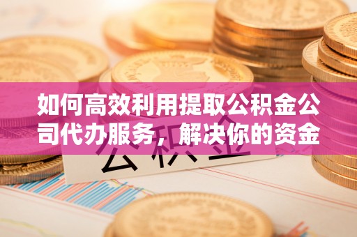 金湾如何高效利用提取公积金公司代办服务，解决你的资金难题