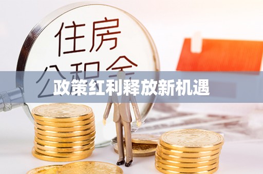 金湾政策红利释放新机遇