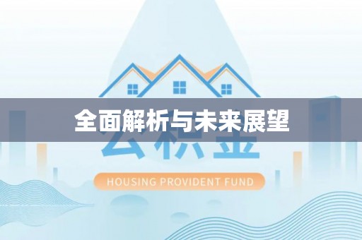 金湾全面解析与未来展望