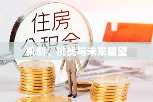 金湾机制、挑战与未来展望