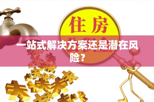 金湾一站式解决方案还是潜在风险？